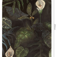 Calla – Tapeta Łuk Standard