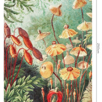 Fairytale Vivid – Tapeta Łuk Standard