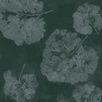 Foglia Sage – Tapeta Łuk Standard