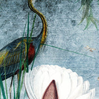 Water Lily – Tapeta Łuk Standard