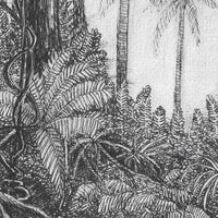 Ness – Tapeta Łuk Standard