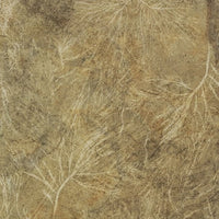 Orion – Tapeta Łuk Standard