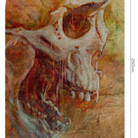 Stranger – Tapeta Łuk Standard