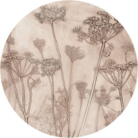 Erbario – Tapeta Koło Standard