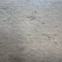 Campo di erbe concrete 595x257