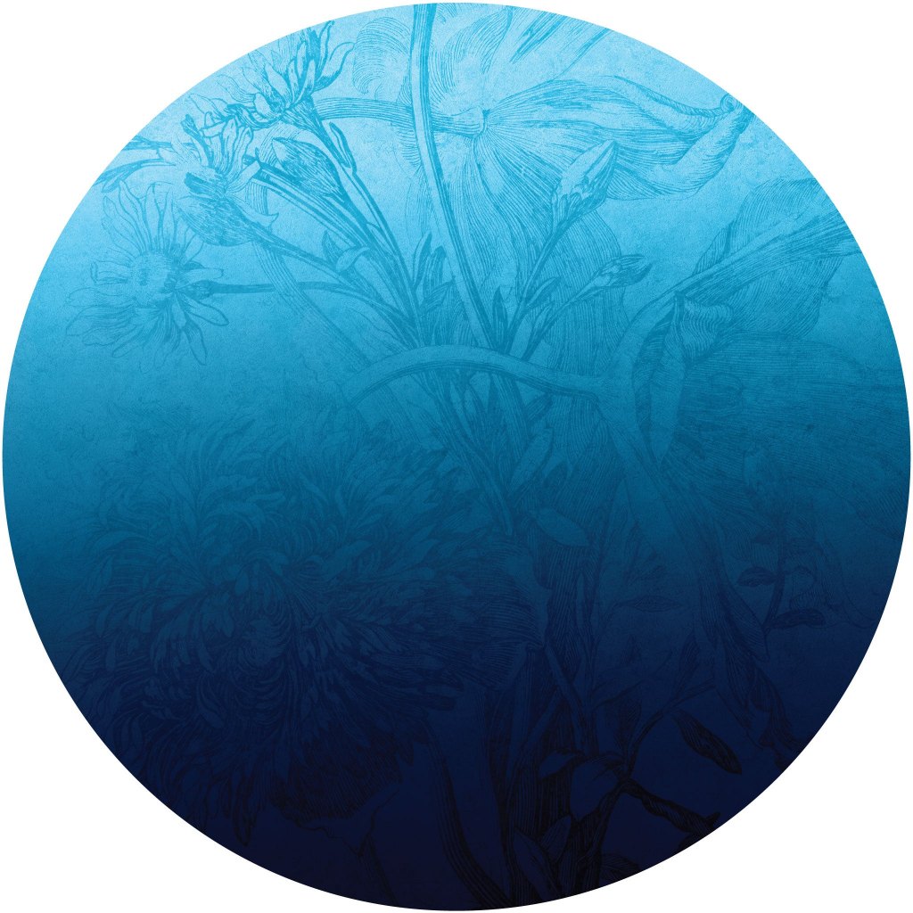 Blue Ombre Flower – Tapeta Koło Standard
