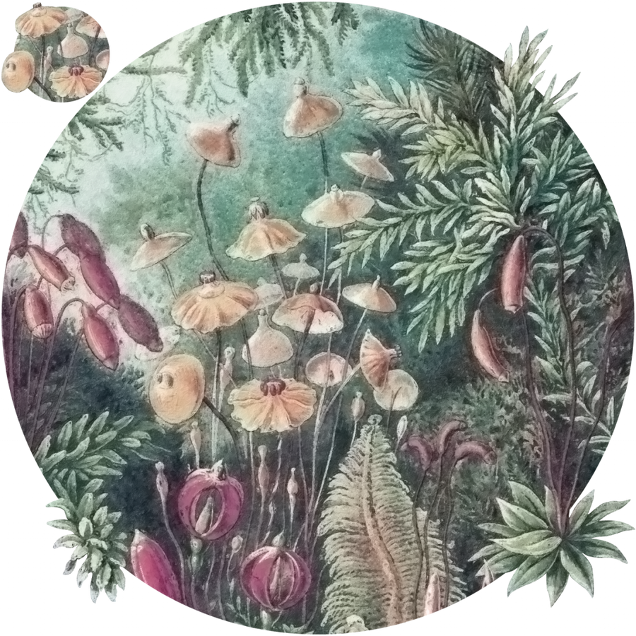 downscaled_pattern_file