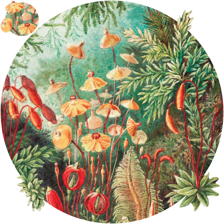 downscaled_pattern_file