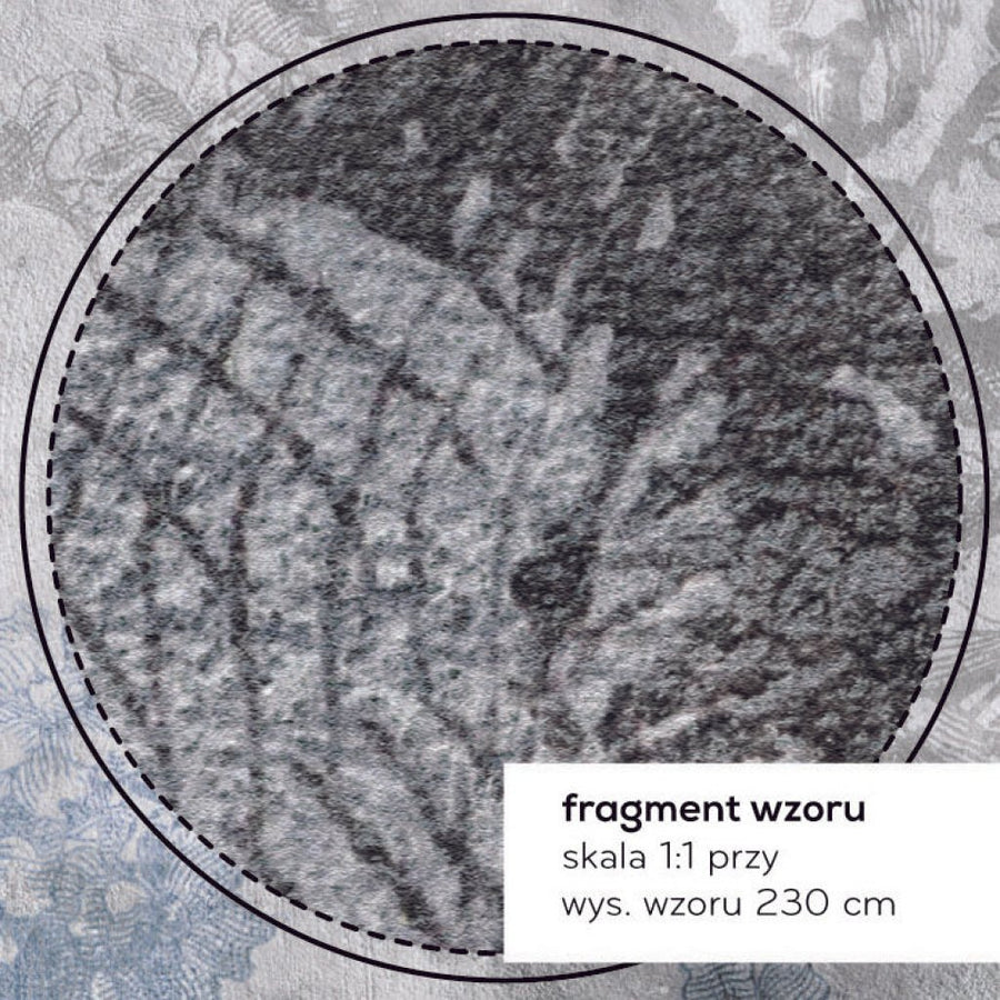 Anemone – Tapeta na wymiar