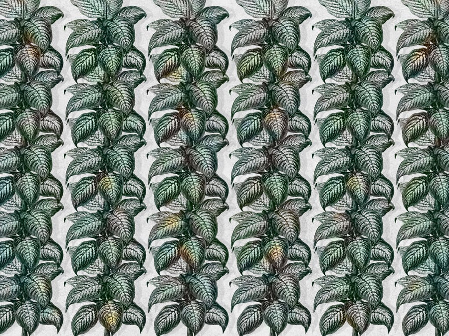 downscaled_pattern_file