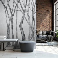 Betulla – Tapeta na wymiar