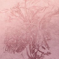 Blossom Ombre Flower – Tapeta na wymiar