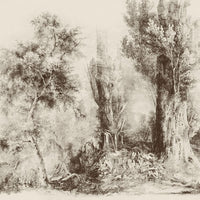 Calm Beige – Tapeta na wymiar