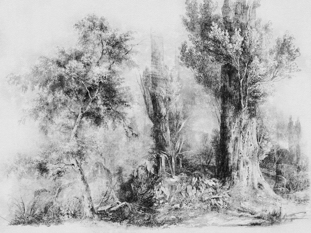 Calm Black and White – Tapeta na wymiar