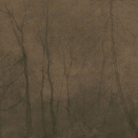 Foggy Morning – Tapeta na wymiar