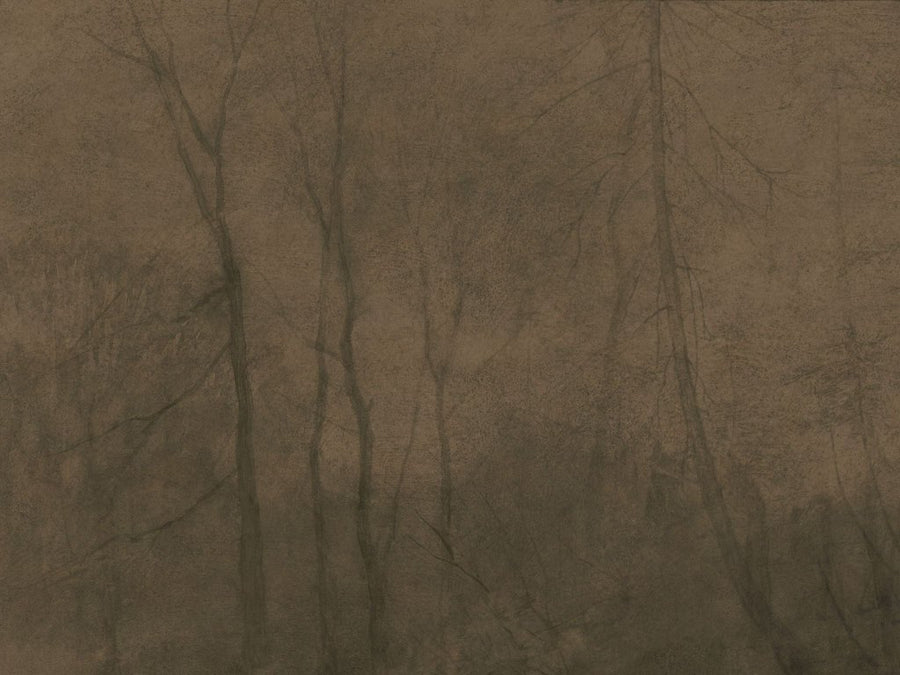 Foggy Morning – Tapeta na wymiar