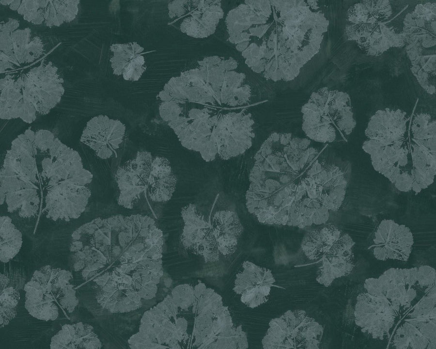 Foglia Sage – Tapeta na wymiar