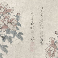 Gyoen – Tapeta na wymiar