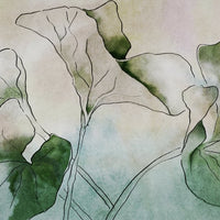 Hasu – Tapeta na wymiar