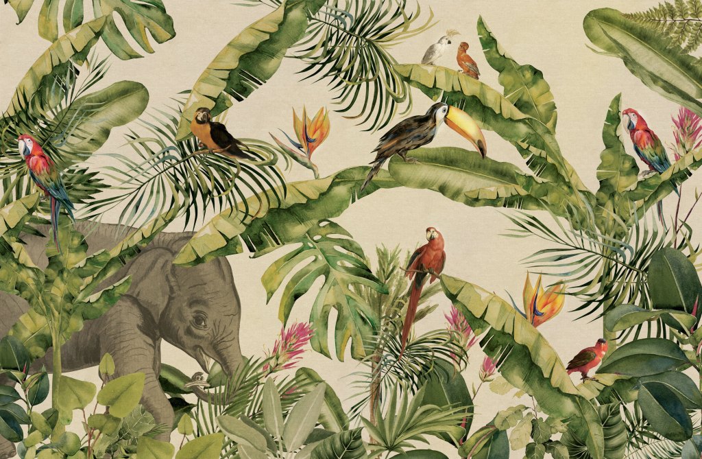 Jungle – Tapeta na wymiar