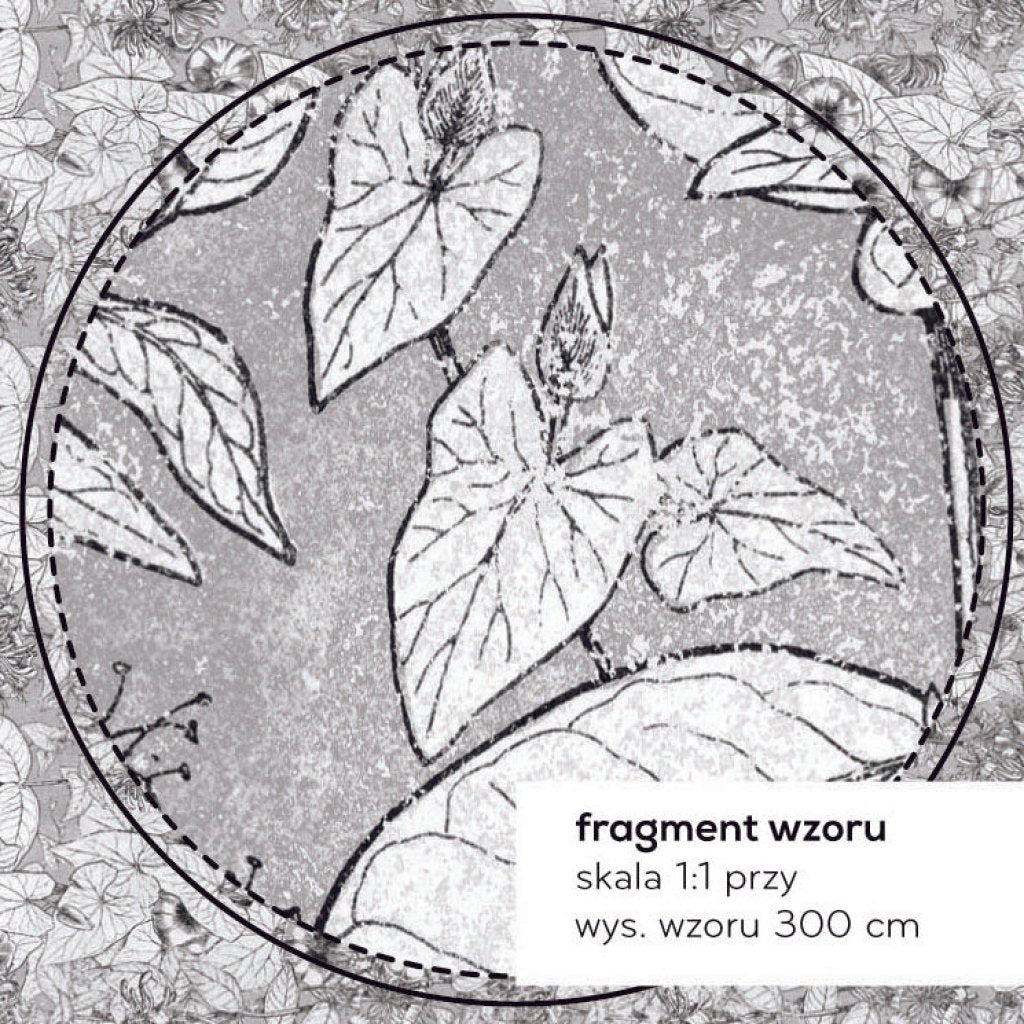 Liseron – Tapeta na wymiar