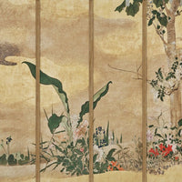 Phoenix – Tapeta na wymiar