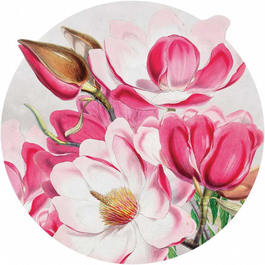 downscaled_pattern_file