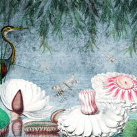 Water Lily – Tapeta na wymiar