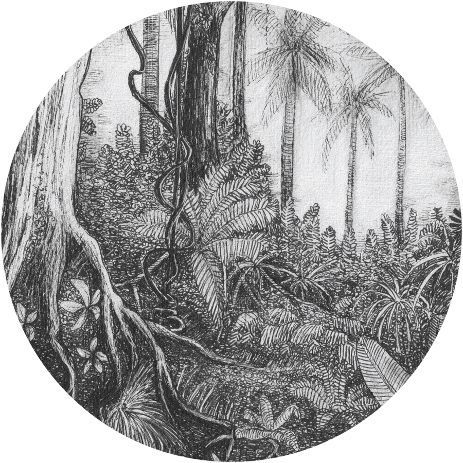 downscaled_pattern_file