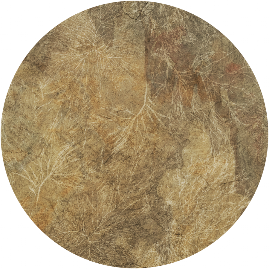 downscaled_pattern_file