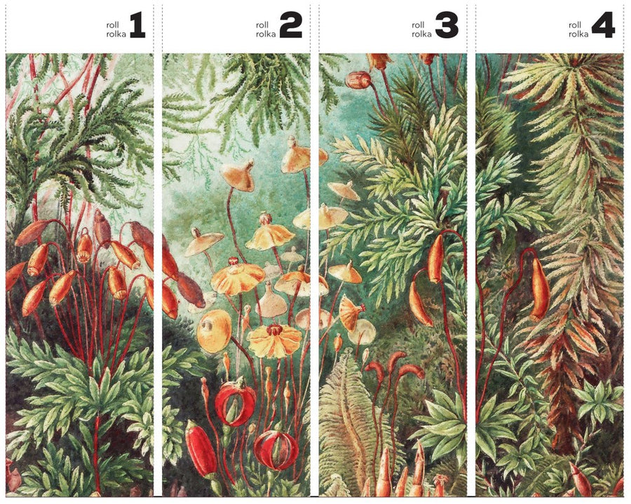 Fairytale Vivid – Tapeta w rolkach