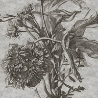 Grey Flower – Tapeta w rolkach