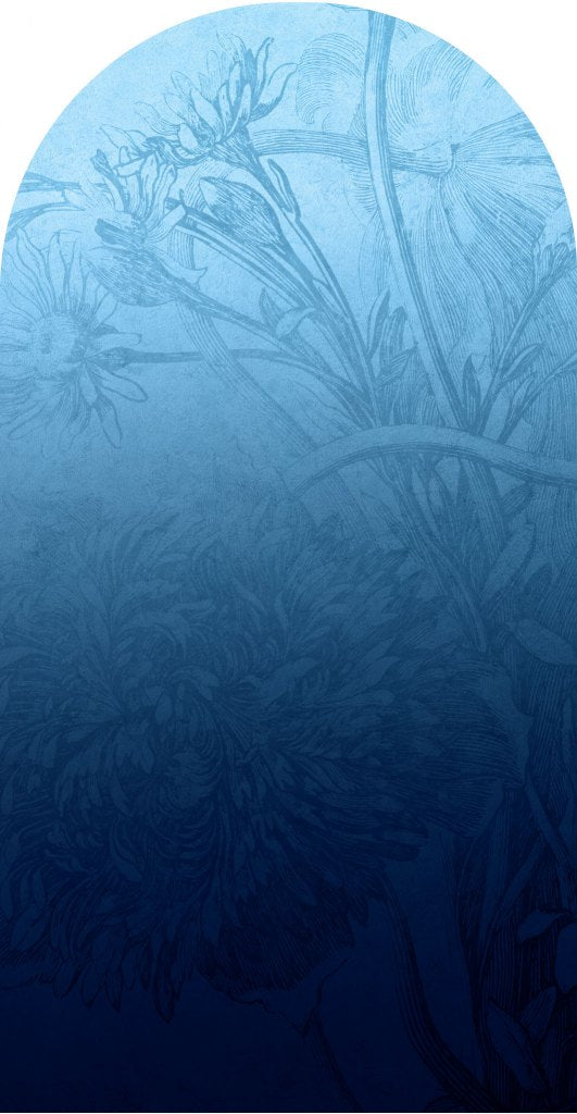 downscaled_pattern_file