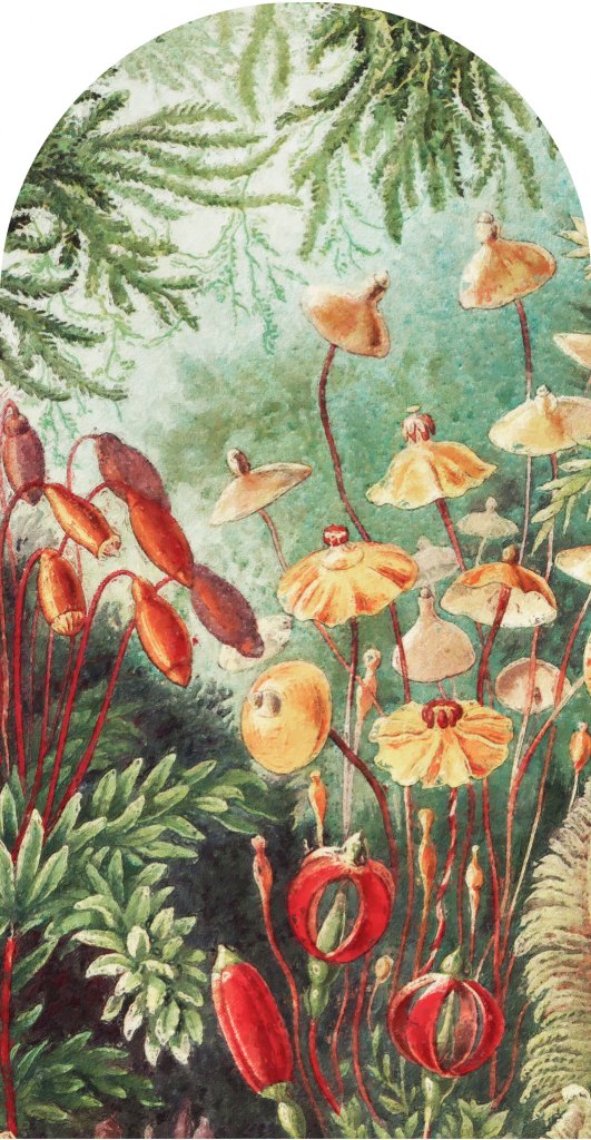 downscaled_pattern_file