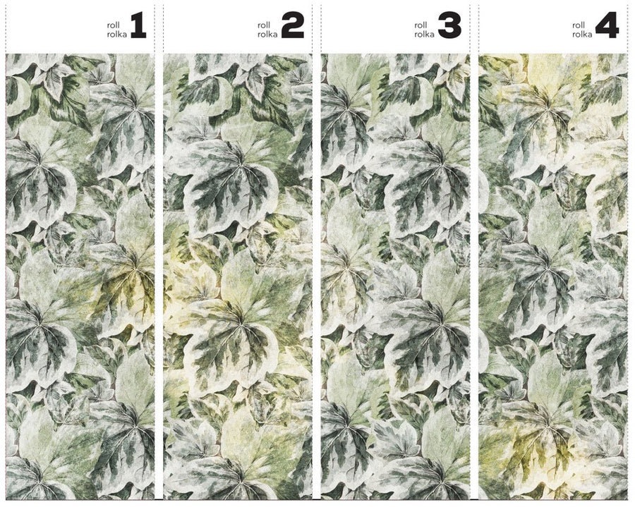 Lierre – Tapeta w rolkach