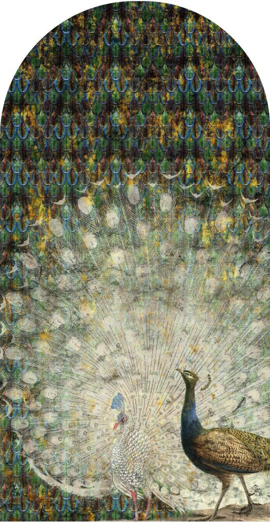 downscaled_pattern_file