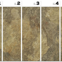 Orion – Tapeta w rolkach