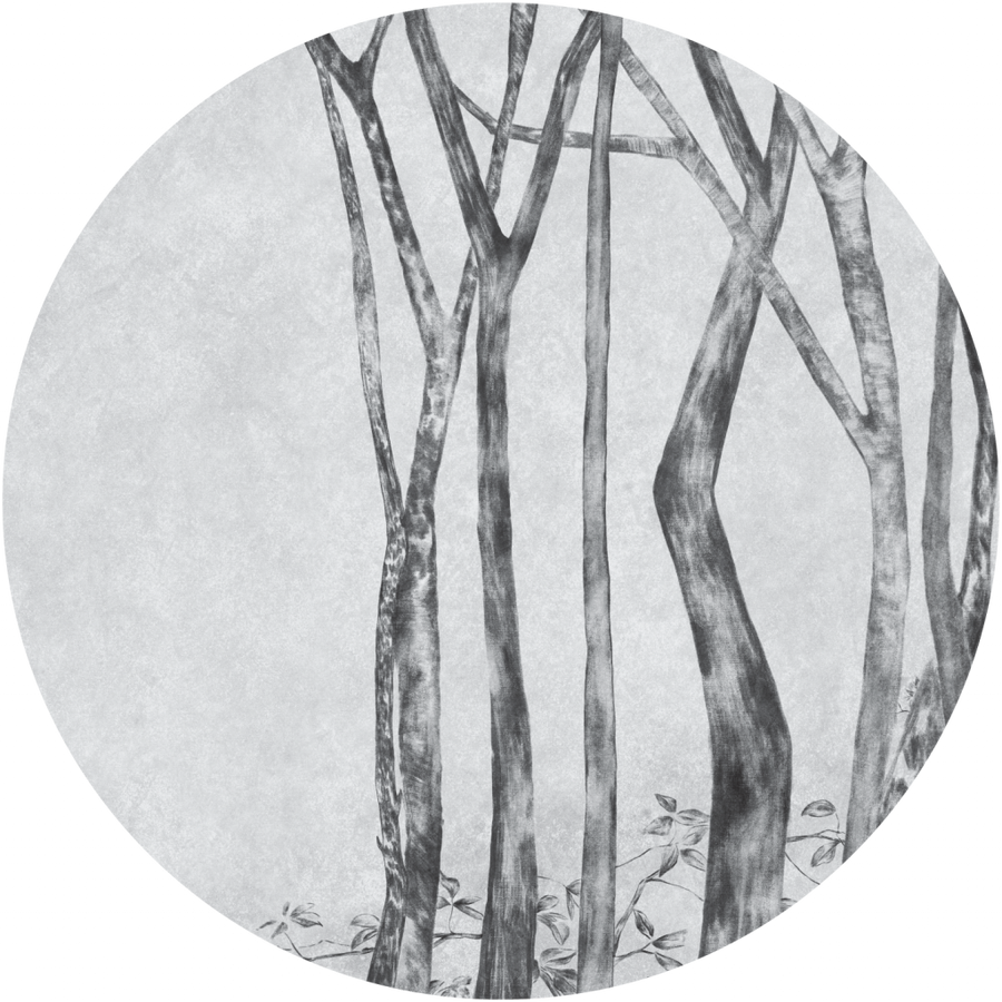 downscaled_pattern_file