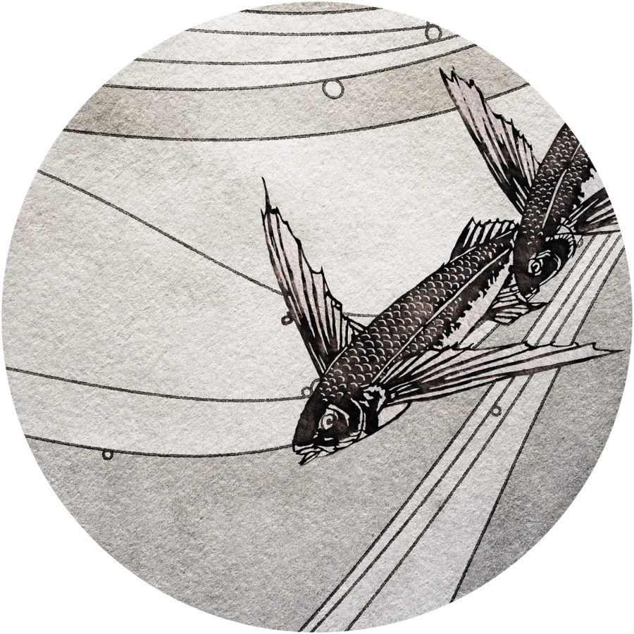 downscaled_pattern_file