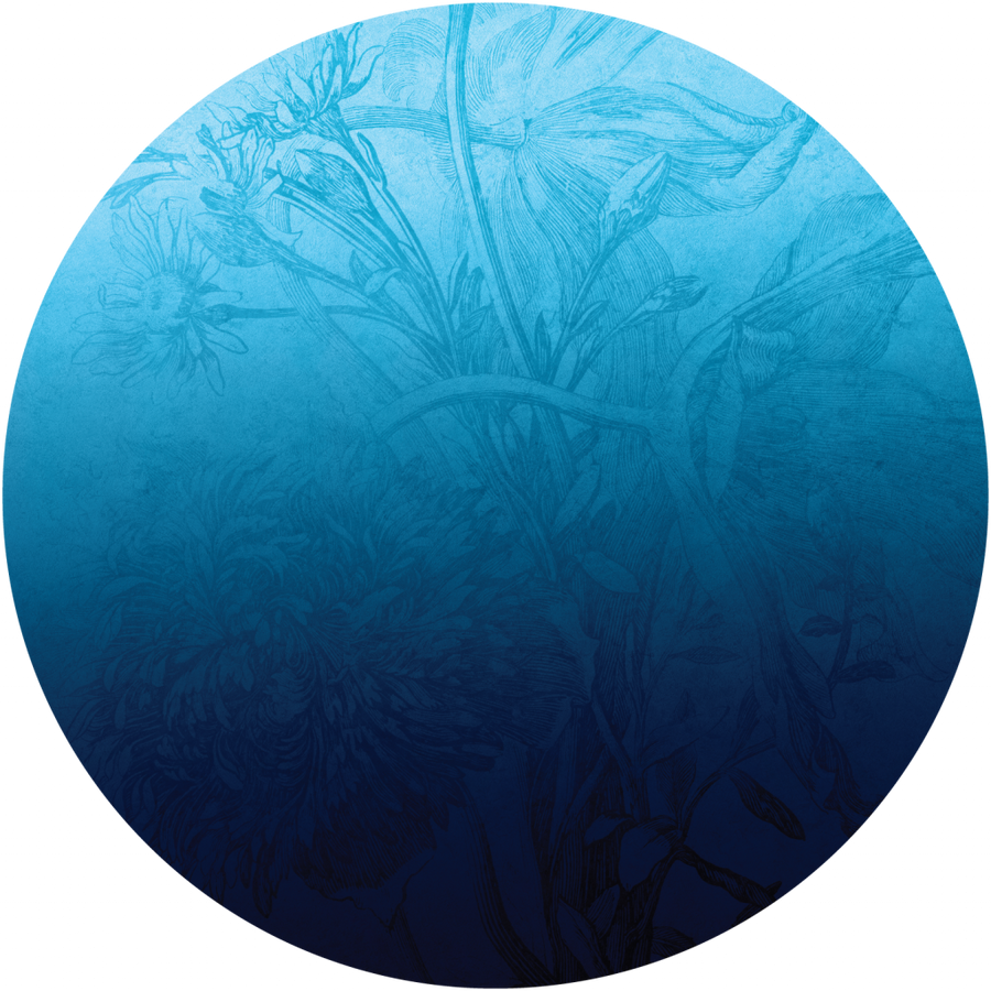 downscaled_pattern_file