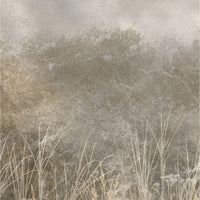 Tatarac – Tapeta Łuk Standard