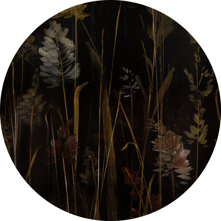 Calamus – Tapeta Koło Standard