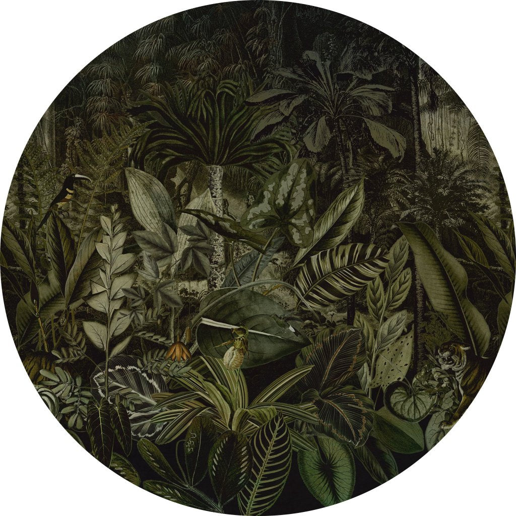 Madagascar – Tapeta Koło Standard