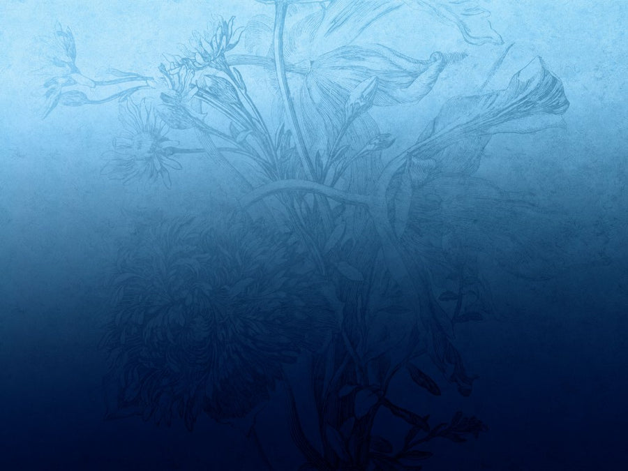 downscaled_pattern_file