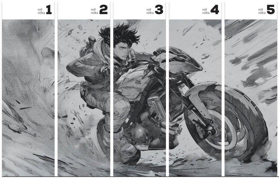 Raida – Tapeta w rolkach