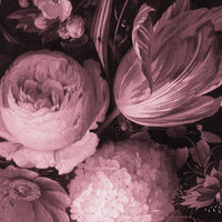 Boudoir Pink – Tapeta Łuk Standard