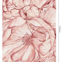 Brassica Pink – Tapeta Łuk Standard