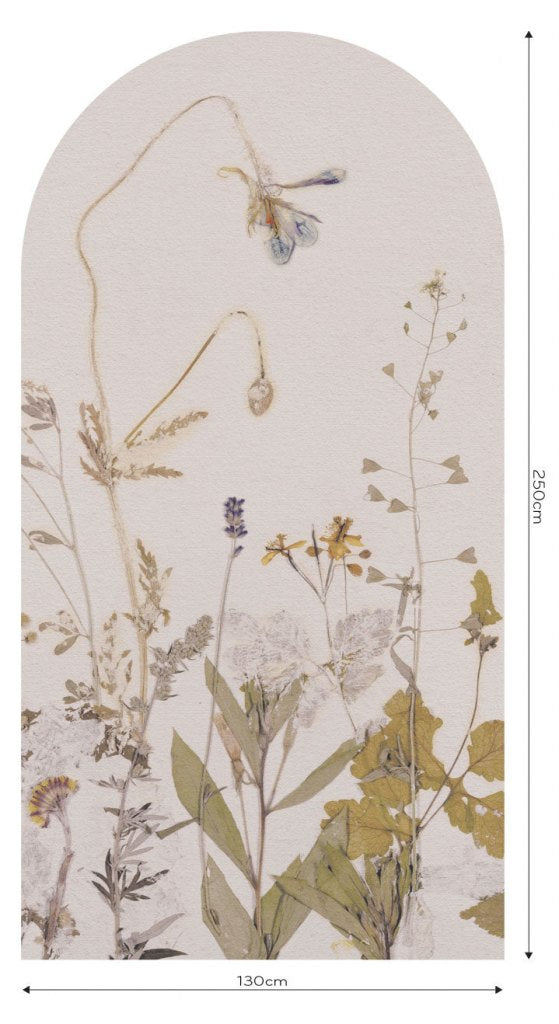 Campo di Erbe – Tapeta Łuk Standard