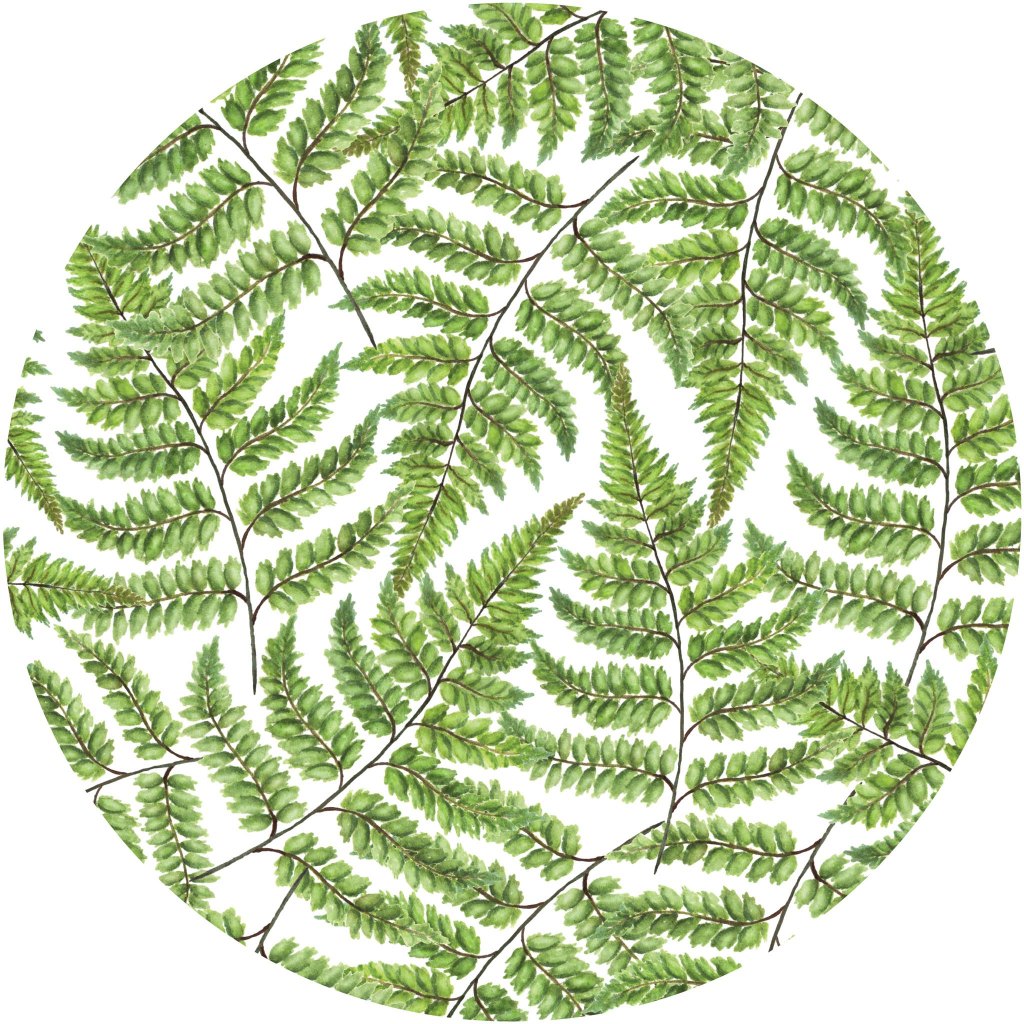 Jurrasic – Tapeta Koło Standard