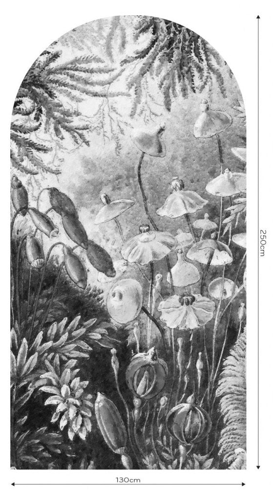 Fairytale B&W – Tapeta Łuk Standard